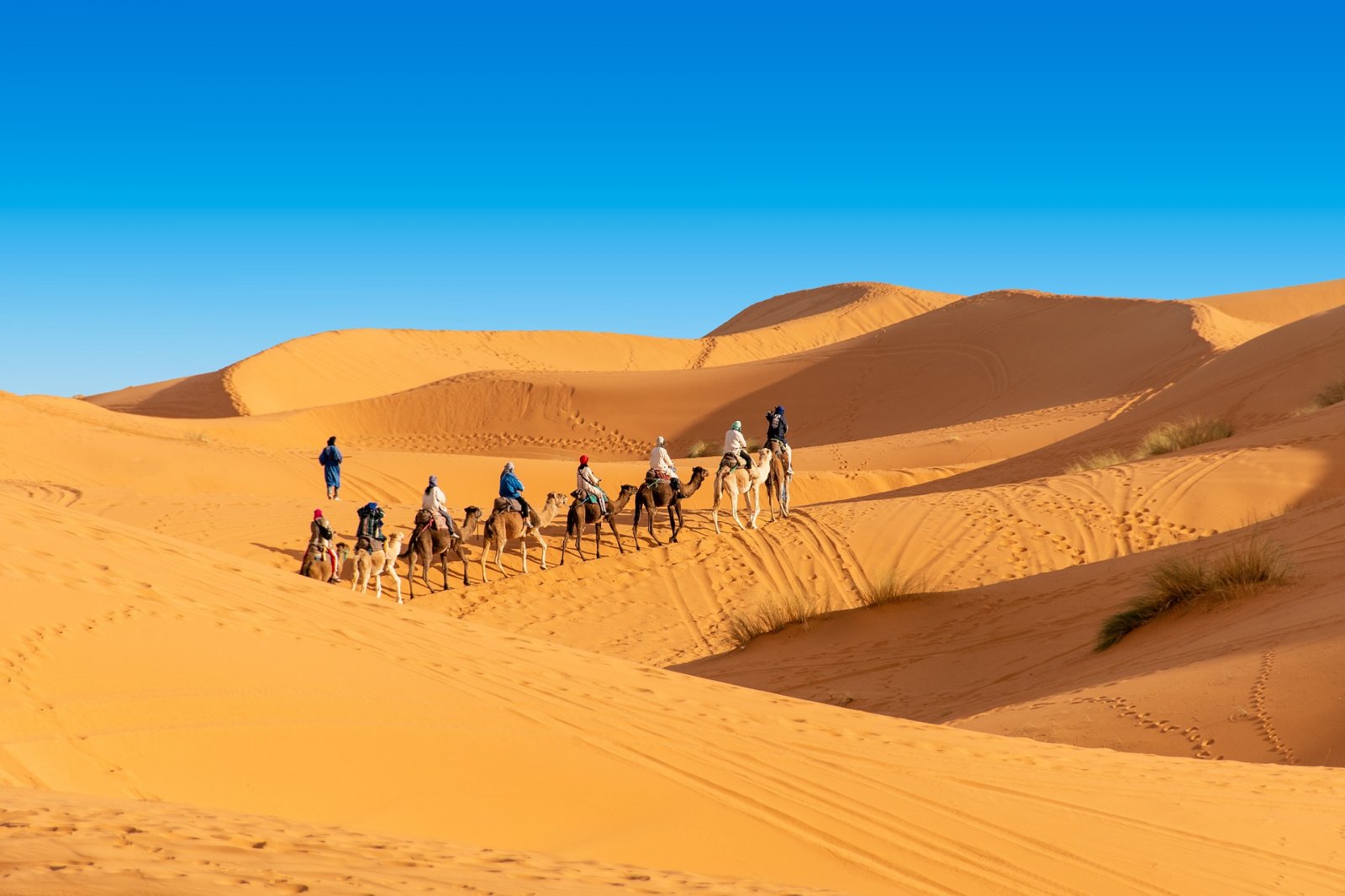 2 days desert tour from Ouarzazate to Merouga
