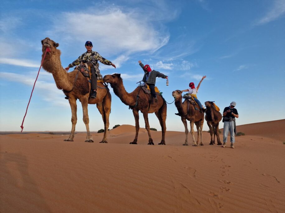 Camel trekking in the Desert